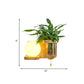 Frendorf | Holz Globe/Zylinder Wand Sconce Nordisch Creme Glas 1 Glühbirne Schlafzimmer Wandlicht mit Pflanzen Topf und Zugkette