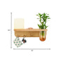 Frendorf | Frosted Glass Wood Wall Light Cylindrical 1-Bulb Industrial Wall Sconce Lamp with Plant Container