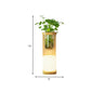 Frendorf | Nordic Cylinder Wandlamp 1-Head Opal Glas Wandverlichting in Hout met Helder Glas Plantenbeker