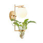 Frendorf | Gold/Black Globe Wandleuchte Antik Creme/Rauchgrau Glas 1-Kopf Schlafzimmer Wandlampe mit Klarglas Pflanzentasse