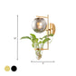 Frendorf | Gold/Black Globe Wandleuchte Antik Creme/Rauchgrau Glas 1-Kopf Schlafzimmer Wandlampe mit Klarglas Pflanzentasse