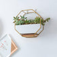 Frendorf | GeoFrame Keramik Wandpflanztopf mit Metallrahmen | Octagon Design