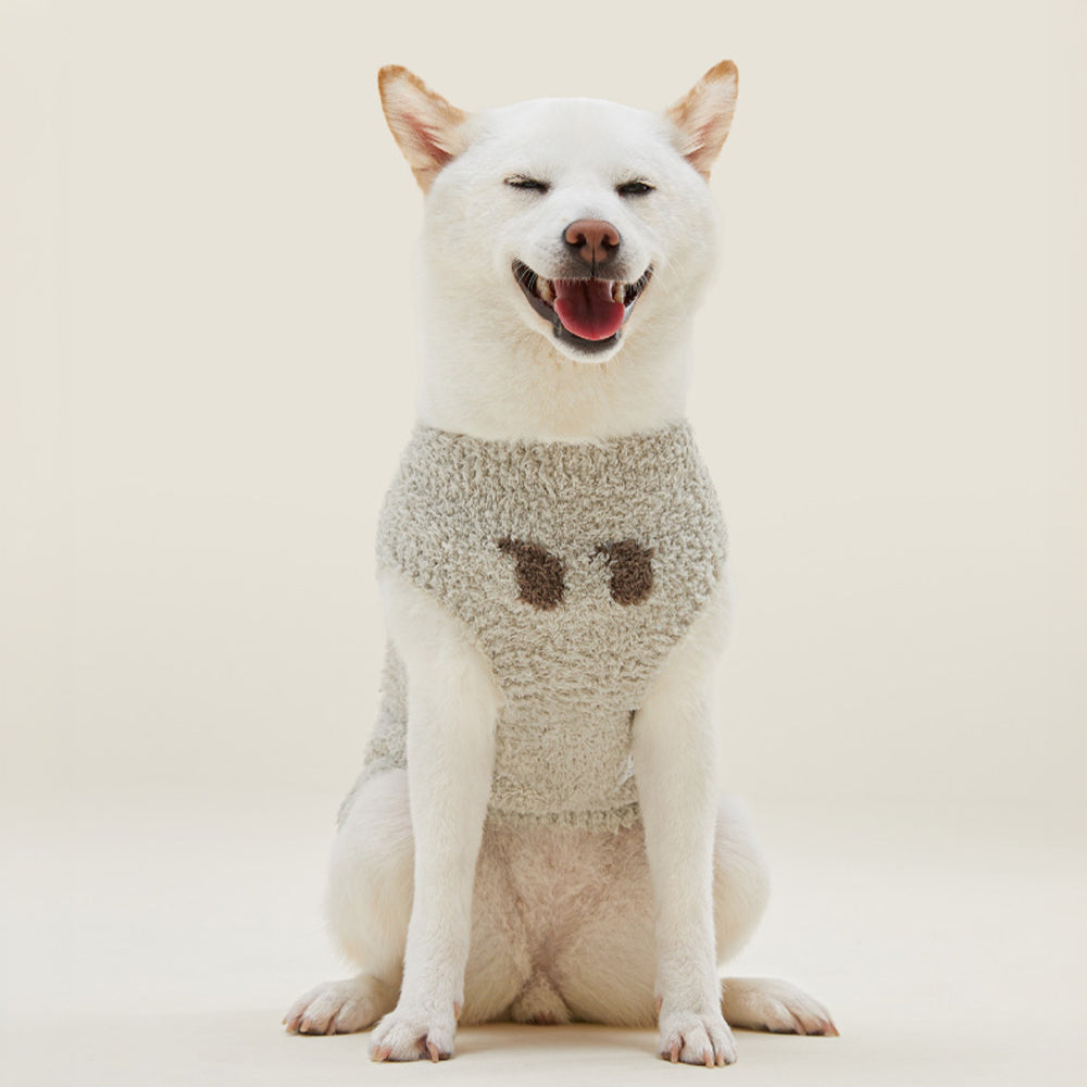 Gemütliches gestricktes passendes lockiges Plüsch-Loungewear-Set für Haustiere und Besitzer