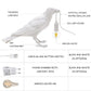 RoyaleGlow Nordic Crow Bird Lamp - Einzigartige Wandlampe