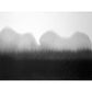 Big Ink Painting Mural Wallpaper Minimalismus Abstrakte Wandkunst in Schwarz und Weiß