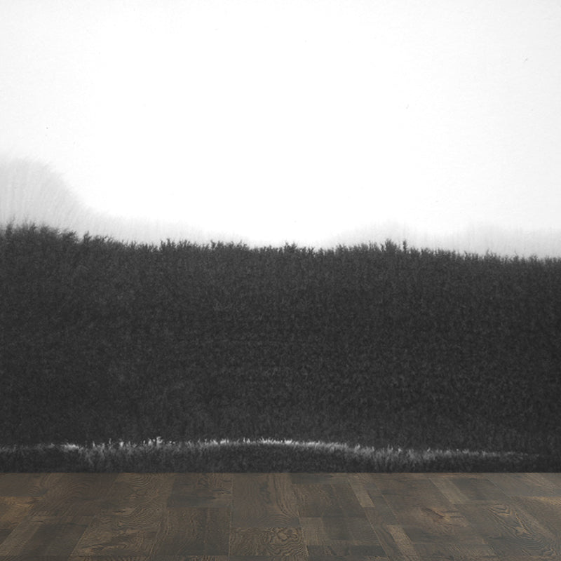 Big Ink Painting Mural Wallpaper Minimalismus Abstrakte Wandkunst in Schwarz und Weiß
