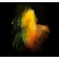 Whole Bursting Powder Tapete Wandbild Modern Schöne Abstrakte Wanddekoration in Multifarbe