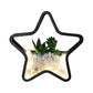 Frendorf | Kunstmatige Succulent Planten Wandlamp Metalen Steen Moderne Creatieve Wandlamp in Zwart voor Slaapkamer