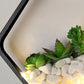 Frendorf | Kunstmatige Succulent Planten Wandlamp Metalen Steen Moderne Creatieve Wandlamp in Zwart voor Slaapkamer