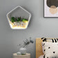 Kinderzimmer Fake Sukkulente Wandlampe Metall Stein Zeitgenössisch Weiß Wandleuchte