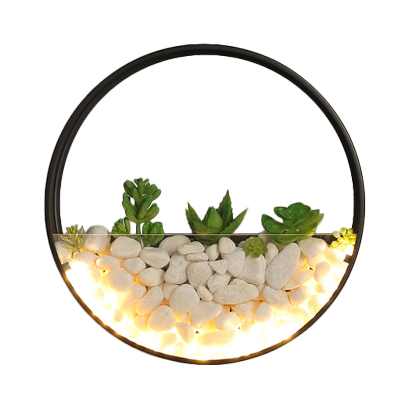 Frendorf | Mooie Big O Wandlamp Acryl Sconceslamp met Nepsucculent & Steen voor Woonkamer Slaapkamer