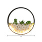 Frendorf | Mooie Big O Wandlamp Acryl Sconceslamp met Nepsucculent & Steen voor Woonkamer Slaapkamer
