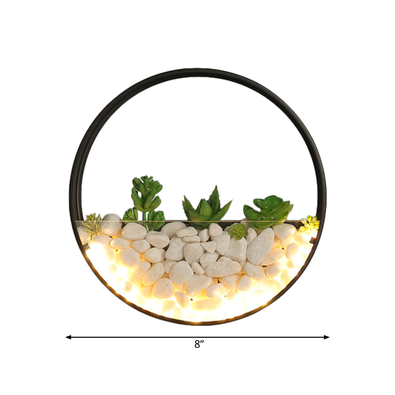 Frendorf | Mooie Big O Wandlamp Acryl Sconceslamp met Nepsucculent & Steen voor Woonkamer Slaapkamer
