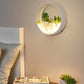 Frendorf | Mooie Big O Wandlamp Acryl Sconceslamp met Nepsucculent & Steen voor Woonkamer Slaapkamer