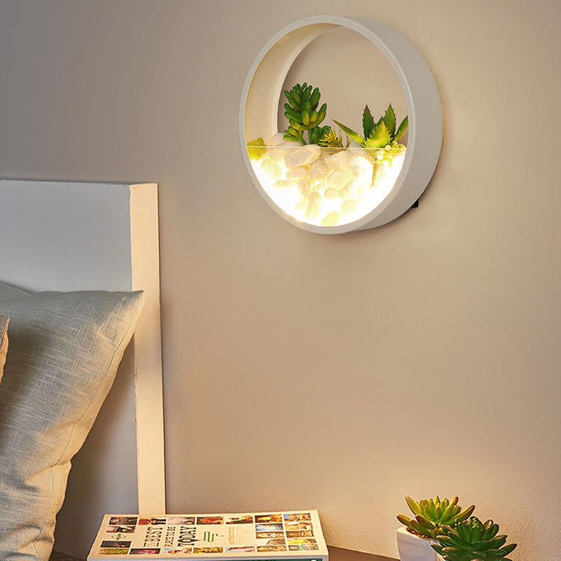 Frendorf | Mooie Big O Wandlamp Acryl Sconceslamp met Nepsucculent & Steen voor Woonkamer Slaapkamer
