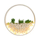 Frendorf | Mooie Big O Wandlamp Acryl Sconceslamp met Nepsucculent & Steen voor Woonkamer Slaapkamer