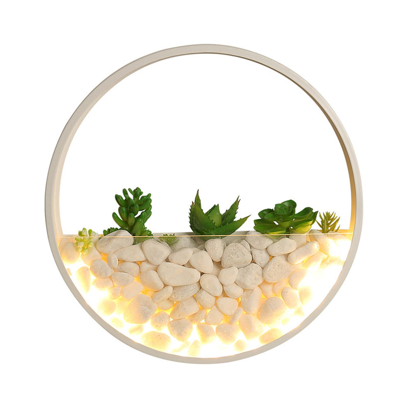 Frendorf | Mooie Big O Wandlamp Acryl Sconceslamp met Nepsucculent & Steen voor Woonkamer Slaapkamer