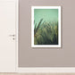 Fotografie Pflanzen Wandkunst Lichtfarbe Landhausstil Leinwanddruck für Wohnzimmer