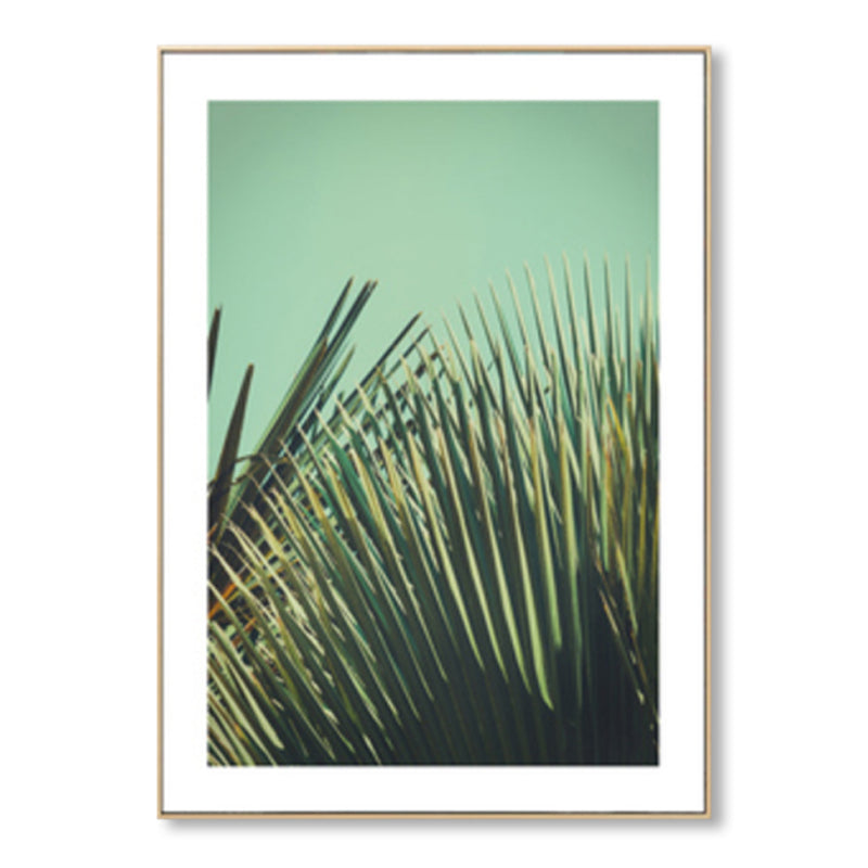Fotografie Pflanzen Wandkunst Lichtfarbe Landhausstil Leinwanddruck für Wohnzimmer