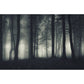 Fotografisches Nebelwald Wandbild Große Wanddekoration für das Hausinterieur, Maßgeschneiderte Größe