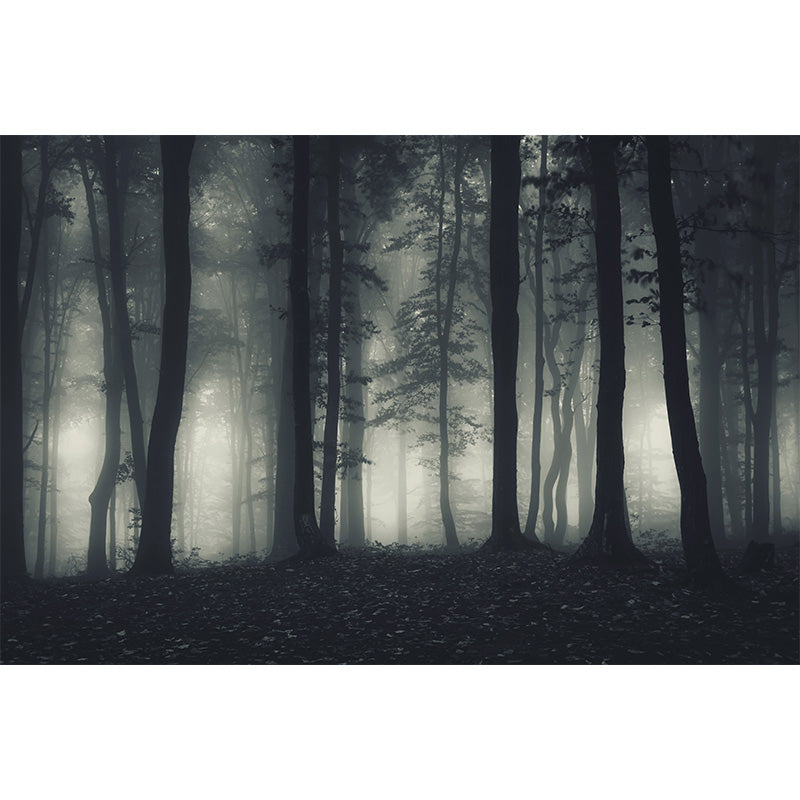 Fotografisches Nebelwald Wandbild Große Wanddekoration für das Hausinterieur, Maßgeschneiderte Größe
