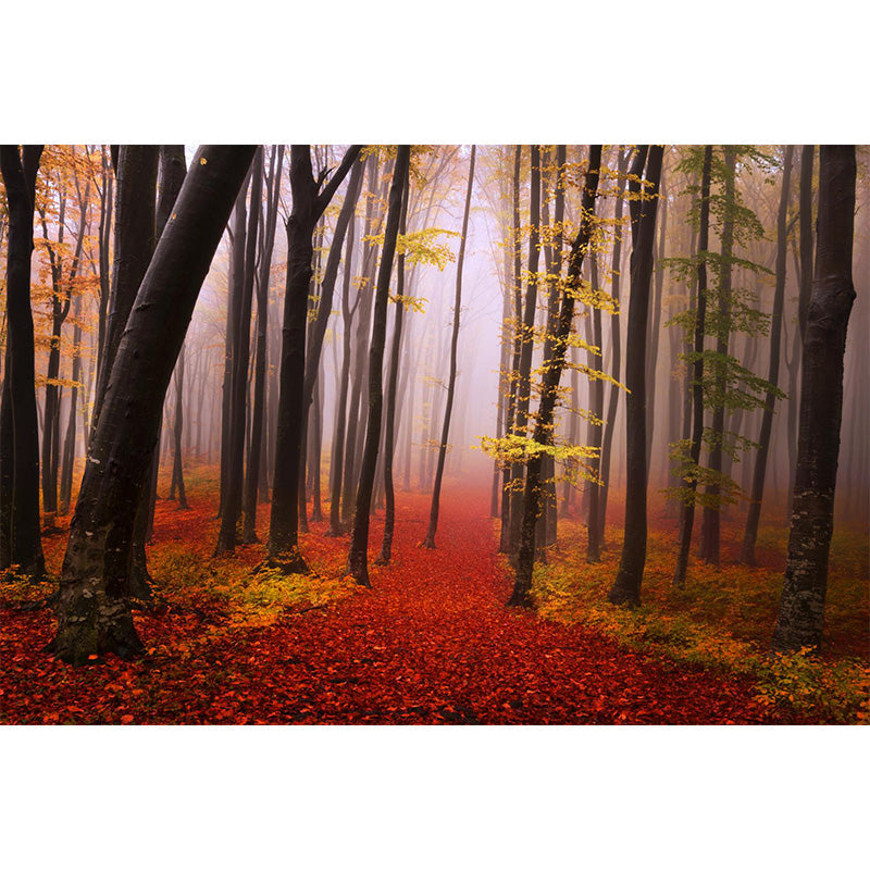 Ganzherbstwald-Mural Moderne geheimnisvolle Landschaft Wandkunst in dunkler Farbe für Zuhause