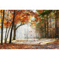 Ganzherbstwald-Mural Moderne geheimnisvolle Landschaft Wandkunst in dunkler Farbe für Zuhause