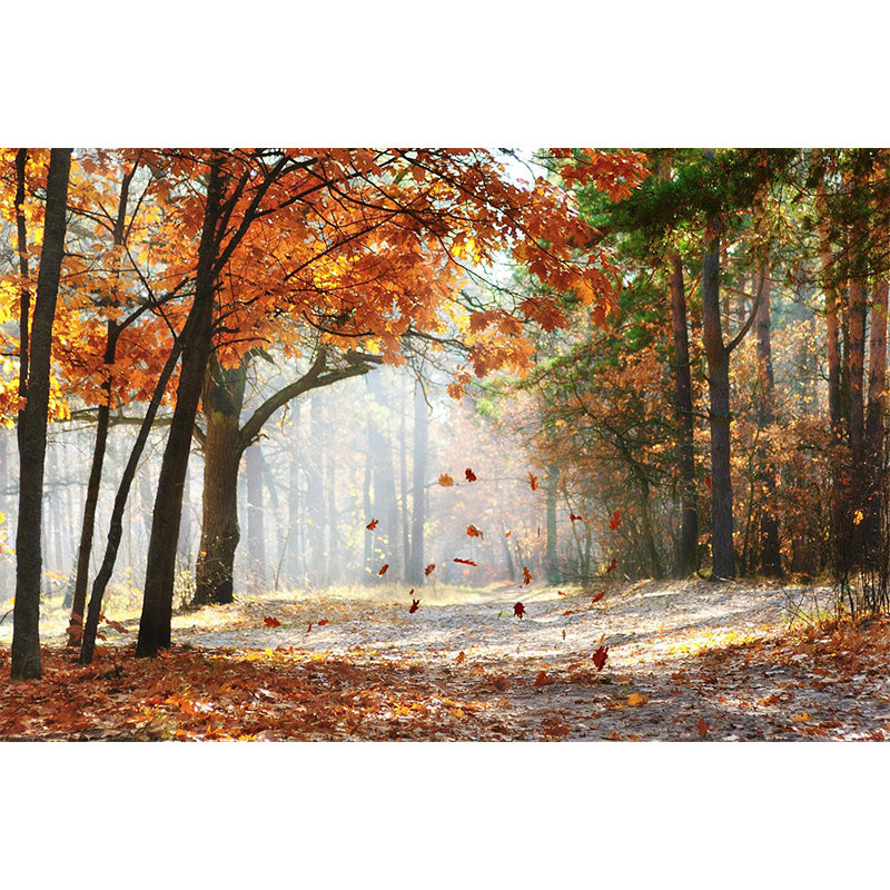 Ganzherbstwald-Mural Moderne geheimnisvolle Landschaft Wandkunst in dunkler Farbe für Zuhause