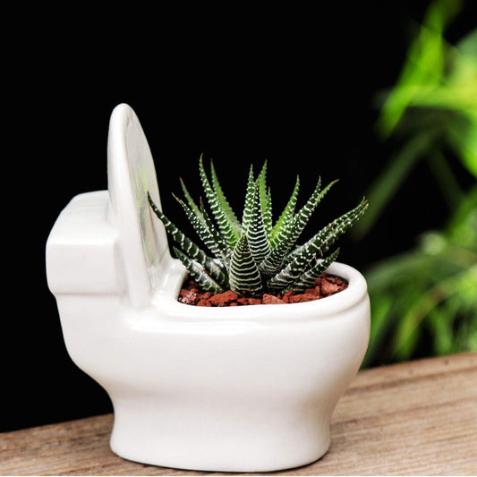"FloraFlush" Toilettenförmiger Blumentopf