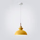 Frendorf | AuroraLite Nordic Pendelleuchte | Metall-Design | 1-Licht | Moderne Farboptionen