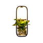 Frendorf | 1 Glühbirne Zylindrische Wandleuchte Lodge Schwarz/Weiß/Gold Stoff Wandlampe mit Warm/Weiß Licht und PflanzenTopf