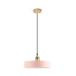 Dome/Zylinder/Kegel Eisen Hängeleuchte Macaron Einzel Weiß/Rosa/Blau und Messing Deckenpendelleuchte für Nachttisch