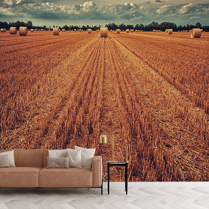 Zeitgenössisches Foto Weizenfeld Wandbild Sanfte Farbe Fleckenbeständige Wandkunst für das Esszimmer