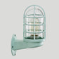 Frendorf | Loft Capsule Wandlamp Fixture Enkele Transparante Glas Wandlamp met Draadkooi in Roze/Blauw/Roest