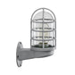 Frendorf | Loft Capsule Wandlamp Fixture Enkele Transparante Glas Wandlamp met Draadkooi in Roze/Blauw/Roest