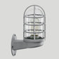 Frendorf | Loft Capsule Wandlamp Fixture Enkele Transparante Glas Wandlamp met Draadkooi in Roze/Blauw/Roest