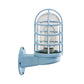 Frendorf | Loft Capsule Wandlamp Fixture Enkele Transparante Glas Wandlamp met Draadkooi in Roze/Blauw/Roest