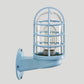 Frendorf | Loft Capsule Wandlamp Fixture Enkele Transparante Glas Wandlamp met Draadkooi in Roze/Blauw/Roest