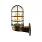 Frendorf | Loft Capsule Wandlamp Fixture Enkele Transparante Glas Wandlamp met Draadkooi in Roze/Blauw/Roest