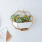 Frendorf | GeoFrame Keramik Wandpflanztopf mit Metallrahmen | Octagon Design