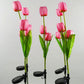 Solar Tulpe Rasenlicht Außen Garten LED Tulpe Blumenlicht Bodenstecker Landschaftslicht