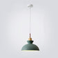 Frendorf | AuroraLite Nordic Pendelleuchte | Metall-Design | 1-Licht | Moderne Farboptionen