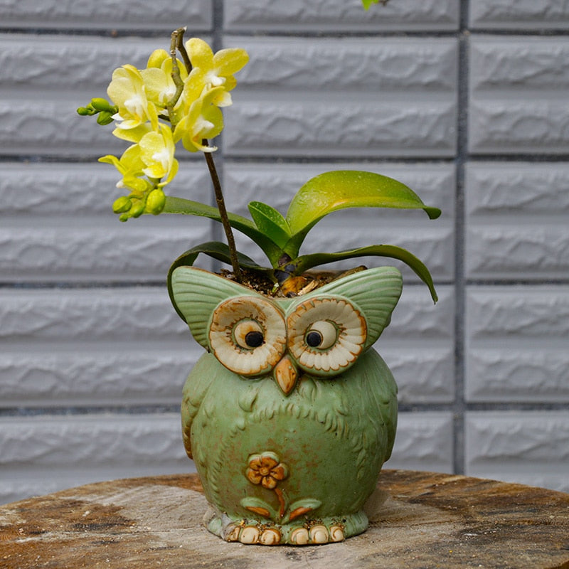 Frendorf | WhimsiOwl Keramische Sukkulententopf – Moderne Dekorative Blumentopf mit Eulendesign