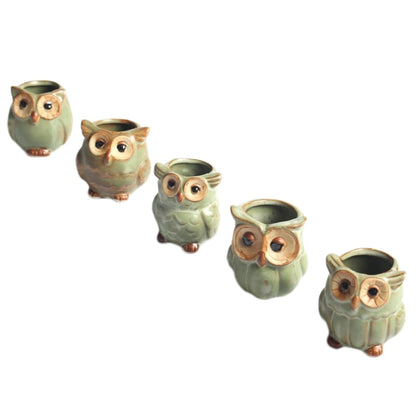 Frendorf | WhimsiOwl Keramische Sukkulententopf – Moderne Dekorative Blumentopf mit Eulendesign