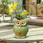 Frendorf | WhimsiOwl Keramische Sukkulententopf – Moderne Dekorative Blumentopf mit Eulendesign