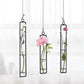 Frendorf | FloatTerrarium Hängendes Glas-Terrarium | Eisenhalterung | Modernes Design | Perfekt für Pflanzenvermehrung & Dekoration