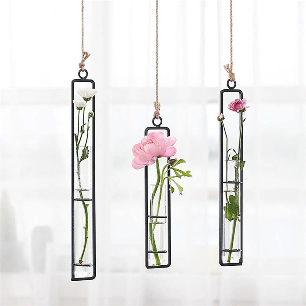 Frendorf | FloatTerrarium Hängendes Glas-Terrarium | Eisenhalterung | Modernes Design | Perfekt für Pflanzenvermehrung & Dekoration