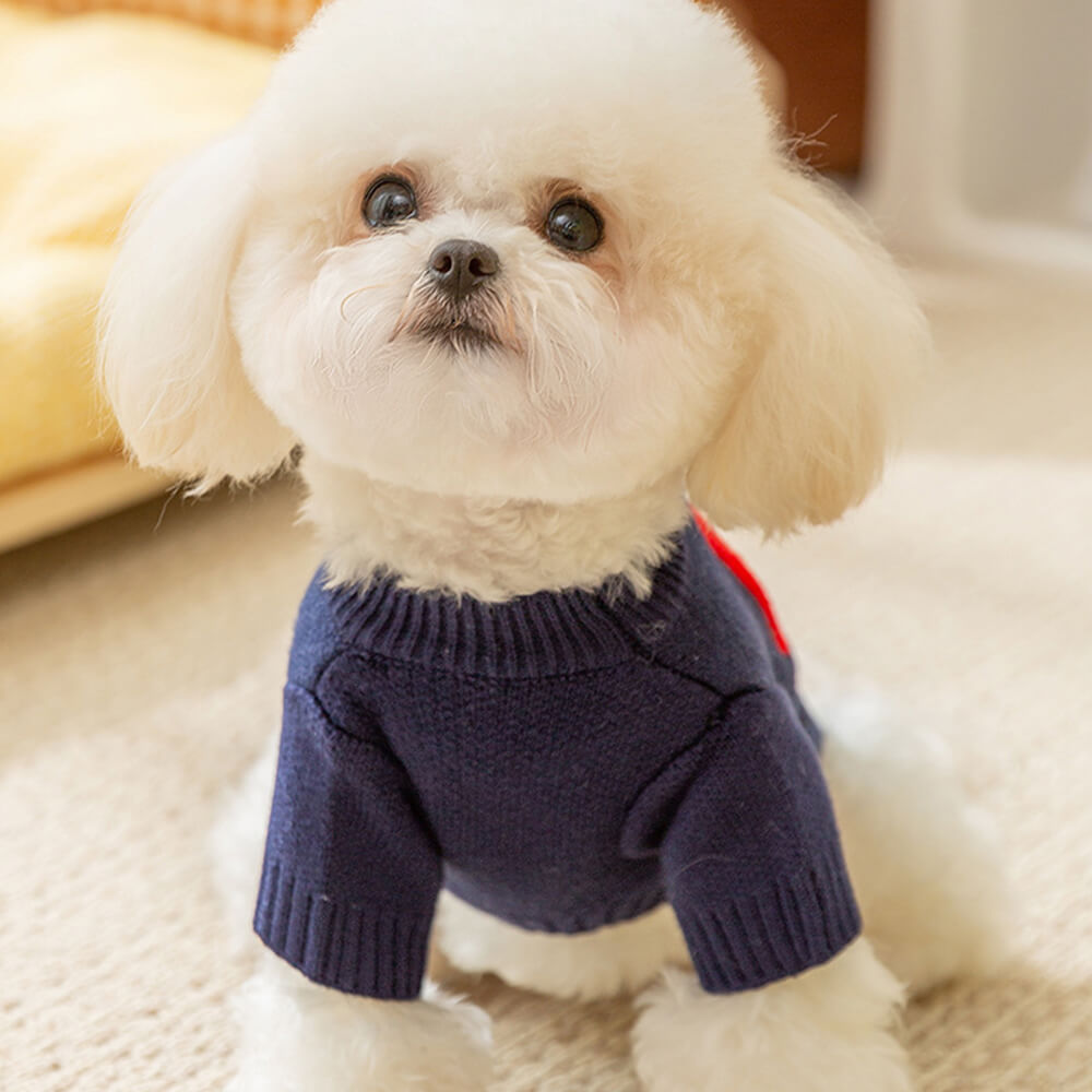 Bunter Apple Strickhundepullover