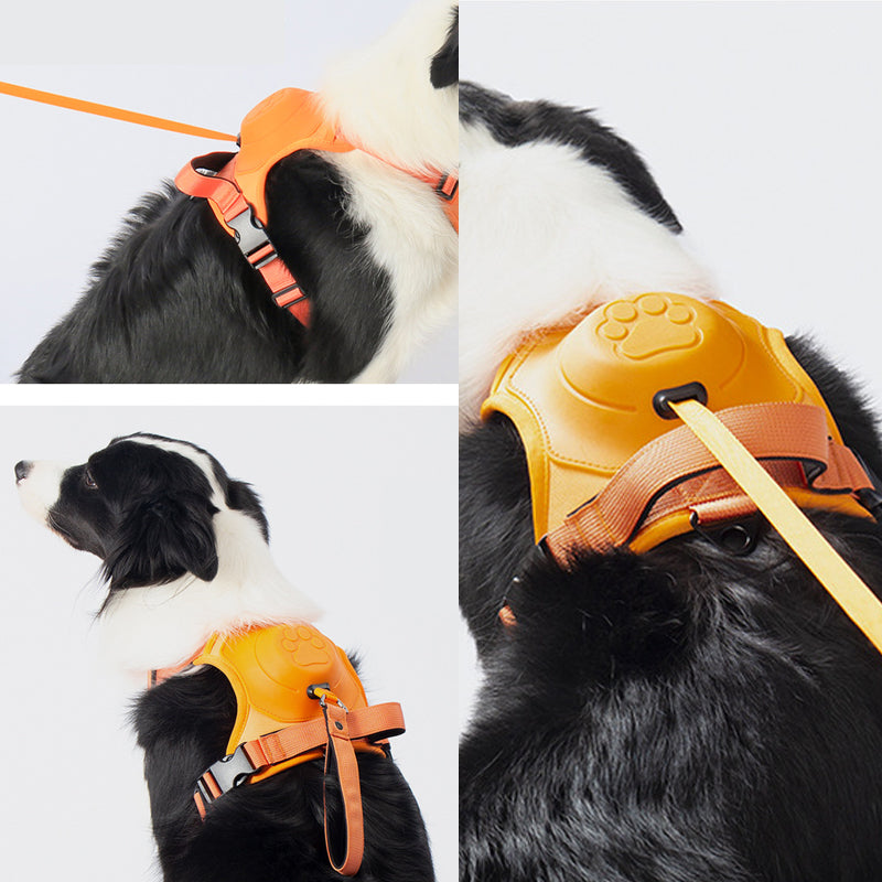 Frendorf | 2 in 1 Geschirr mit integrierter Leine