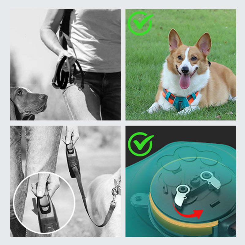 Frendorf | 2 in 1 Geschirr mit integrierter Leine